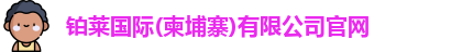 铂莱国际